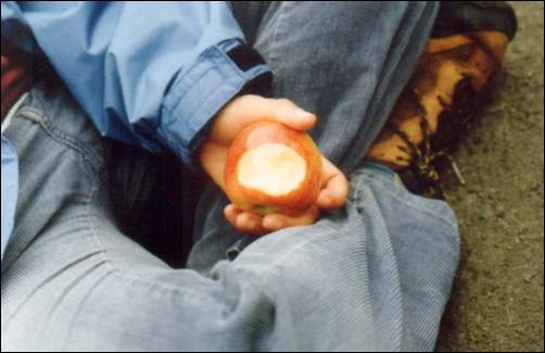 Genevieve and the apple